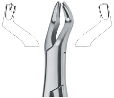 Tooth Ext Forceps Amr