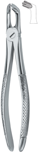 Tooth Ext Forceps