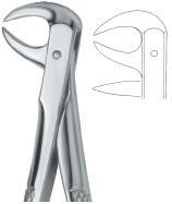 Tooth Ext Forceps