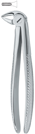 Tooth Ext Forceps