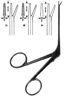 Otology