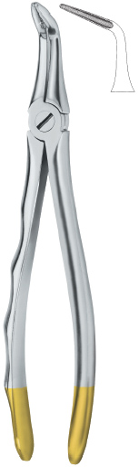 Tooth Ext Forceps