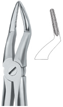 Tooth Ext Forceps