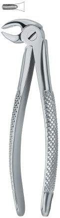 Tooth Ext Forceps