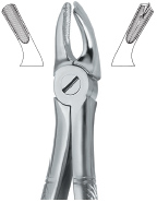 Tooth Ext Forceps