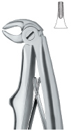 Tooth Ext Forceps